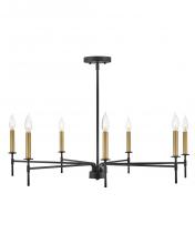 Lark by Hinkley 83077BK - Large Single Tier Chandelier