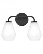 Lark by Hinkley 85502BK - Small Two Light Vanity