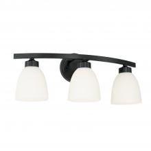 Capital Lighting 114331MB-333 - 3 Light Vanity