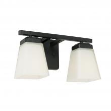 Capital Lighting 114421MB-334 - 2 Light Vanity