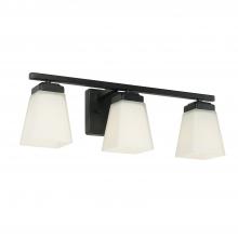 Capital Lighting 114431MB-334 - 3 Light Vanity