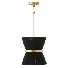 Capital Lighting 341211KP - 1 Light Pendant