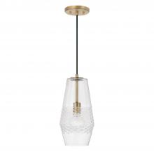 Capital Lighting 345011AD - 1 Light Pendant