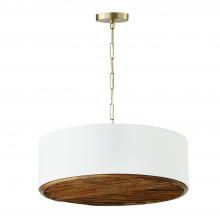 Capital Lighting 347441MA - 4 Light Pendant