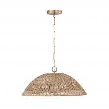 Capital Lighting 347511MA - 1 Light Pendant