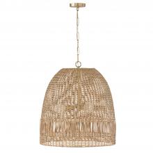 Capital Lighting 347533MA - 3 Light Pendant