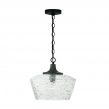 Capital Lighting 347611CK - 1 Light Pendant