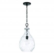 Capital Lighting 349012MB - 1 Light Pendant