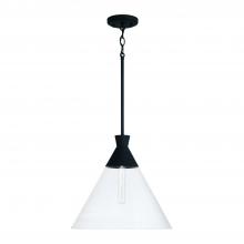 Capital Lighting 350311XK - 1 Light Pendant