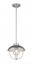 Z-Lite 590P-GV - 1 Light Outdoor Pendant