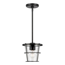 Generation Lighting Seagull 6001401-112 - Tex One Light Pendant