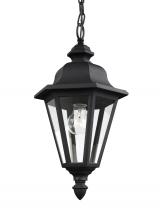 Generation Lighting Seagull 6025-12 - Brentwood traditional 1-light outdoor exterior ceiling hanging pendant in black finish with clear gl