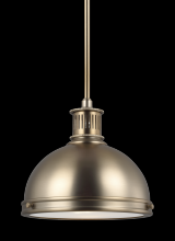 Generation Lighting Seagull 65085-848 - One Light Pendant