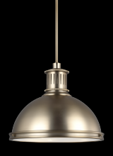 Generation Lighting Seagull 65087-848 - Three Light Pendant