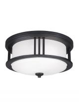 Generation Lighting Seagull 7847902-12 - Crowell contemporary 2-light outdoor exterior ceiling flush mount in black finish with satin etched