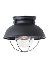 Generation Lighting Seagull 8869-12 - Sebring transitional 1-light outdoor exterior ceiling flush mount in black finish with clear seeded