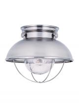 Generation Lighting Seagull 8869-98 - Sebring transitional 1-light outdoor exterior ceiling flush mount in brushed stainless silver finish