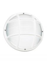 Generation Lighting Seagull 89807-15 - Bayside traditional 1-light outdoor exterior wall or ceiling mount in white finish with polycarbonat