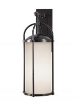 Generation Lighting Seagull OL7602ES - Large Lantern