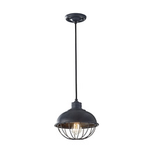 Generation Lighting Seagull P1242AF - Round Cage Pendant