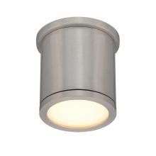 WAC Lighting FM-W2605-AL - TUBE Outdoor Flush Mount Light