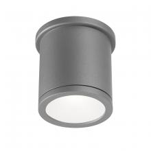 WAC Lighting FM-W2605-GH - TUBE Outdoor Flush Mount Light