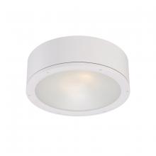 WAC Lighting FM-W2612-WT - TUBE Outdoor Flush Mount Light