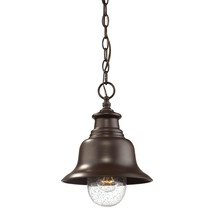  2514-PBZ - Outdoor Hanging Lantern