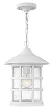 Hinkley Lighting 1802CW - Medium Hanging Lantern