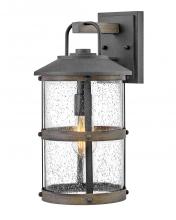 Hinkley Lighting 2684DZ-LL - Medium Wall Mount Lantern