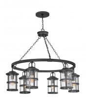 Hinkley Lighting 2689BK-LV - Large Single Tier 12v Chandelier