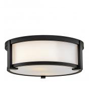 Hinkley Lighting 28963BK - Small Flush Mount