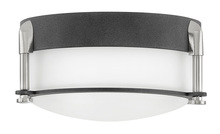 Hinkley Lighting 3230DZ - Extra Small Flush Mount