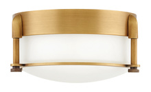 Hinkley Lighting 3230HB - Extra Small Flush Mount