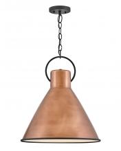 Hinkley Lighting 3555AP - Large Pendant