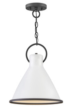 Hinkley Lighting 3557PT - Medium Pendant