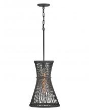 Hinkley Lighting 41267BK - Medium Pendant