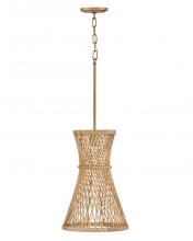 Hinkley Lighting 41267BNG - Medium Pendant