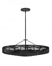 Hinkley Lighting 42303BK-BK - Medium Convertible Pendant