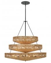 Hinkley Lighting 42308BK-NRF - Medium Multi Tier Chandelier