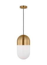 Studio Co. VC DJP1141SB - Foster Medium Pendant