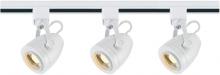  TK413 - LED Track Kit - 12 Watt LED - 3000K - 4 foot Track - 36 degree - Pinch Back Shape - White Finish