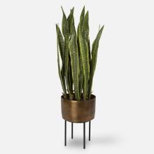 Uttermost 60185 - Fasita Brass Planter 2 Cartons